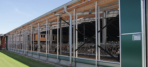 Ventilación serpenteante en el establo lechero Ventilación sinuosa abierta en un establo lechero