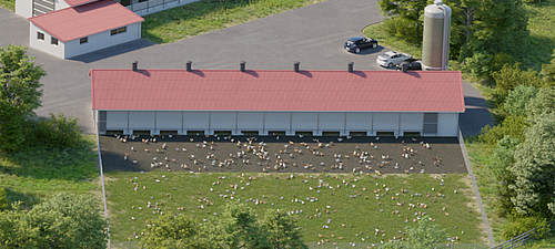Gallineros modernos - Soluciones Lubratec para gallinas y gallos Naves avícolas vanguardistas con soluciones Lubratec para gallinas y gallos sanos